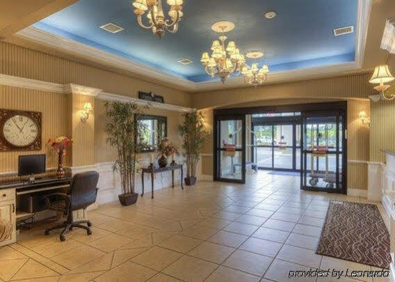 Comfort Inn & Suites Chattanooga West - Lookout Mountain Esterno foto